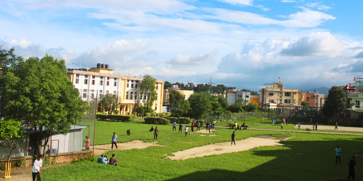 Library and Reading